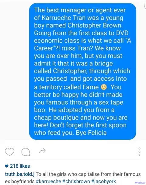 Chris Brown's fan slams Karrueche Tran, says she used Chris Brown to gain fame